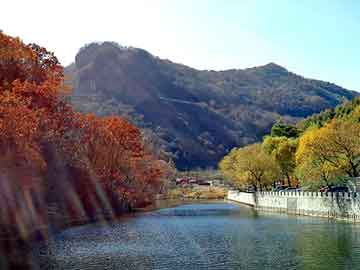 新澳那些殺料準(zhǔn)網(wǎng)址——深度探索與指南，新澳精準(zhǔn)殺料網(wǎng)址深度探索與指南