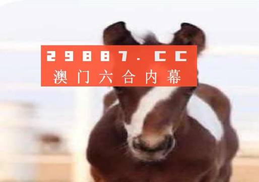 澳門一肖一碼狀元紅，揭秘彩票背后的秘密與策略，澳門彩票揭秘，狀元紅背后的秘密與策略解析