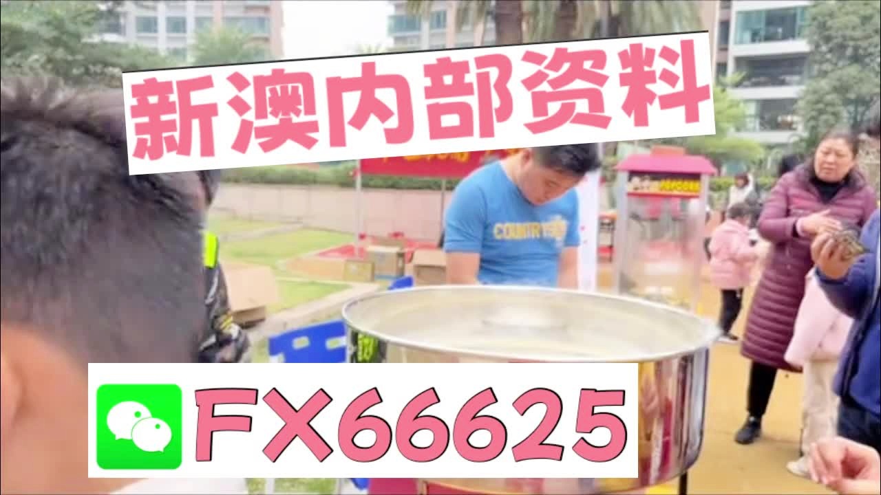2025新澳天天開彩最新資料大全——全方位解析與預(yù)測，2025新澳天天開彩最新資料大全——全面解析與精準(zhǔn)預(yù)測
