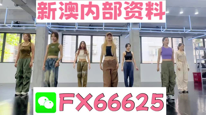 新澳持碼會資料詳解，新澳持碼會資料全面解析