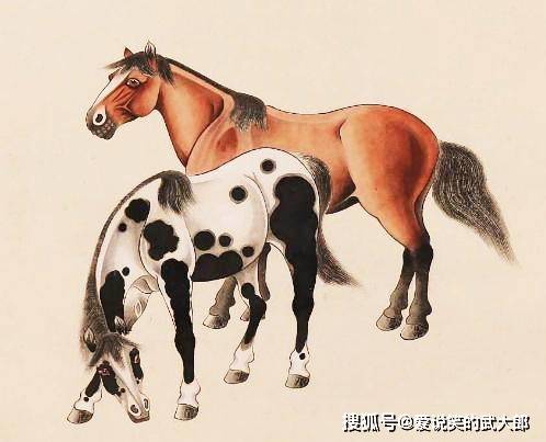 香港四不像一肖生肖圖，揭秘背后的神秘文化，香港四不像一肖生肖圖，神秘文化背后的揭秘