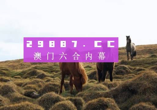 第4頁